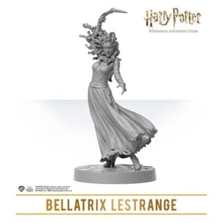 Harry Potter Miniatures Adventure Game: Wizarding Duels - Servants of the Dark Lord Expansion (EN)