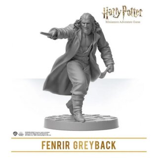 Harry Potter Miniatures Adventure Game: Wizarding Duels - Servants of the Dark Lord Expansion (EN)