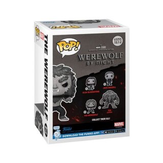 Werewolf By Night POP! Vinyl Figur - Werewolf