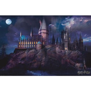 Harry Potter Poster - Hogwarts