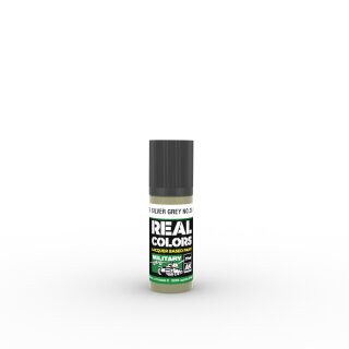 AK - Real Colors - Military - Silver Grey No.28 (BS381) (17ml)