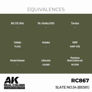 AK - Real Colors - Military - Slate No.34 (BS381) (17ml)