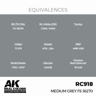 AK - Real Colors - Military - Medium Grey FS 36270 (17ml)