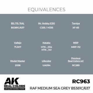 AK - Real Colors - Military - RAF Medium Sea Grey BS381C/637 (17ml)