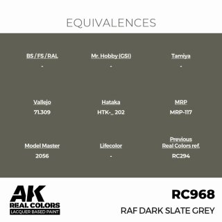 AK - Real Colors - Military - RAF Dark Slate Grey (17ml)