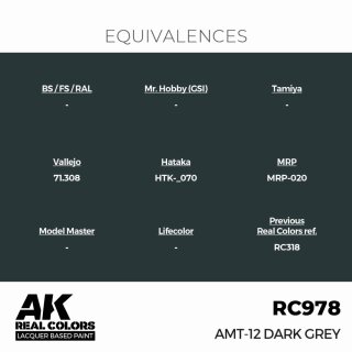 AK - Real Colors - Military - AMT-12 Dark Grey (17ml)