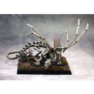 Young Skeletal Dragon (REA03644)