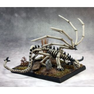Young Skeletal Dragon (REA03644)