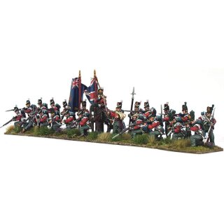 28mm Napoleonic Waterloo British Infantry Centre Companies