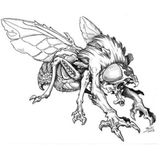 Fly Demon Cichastus