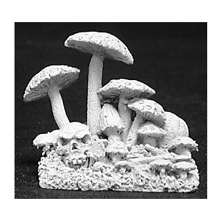Carnivorous Fungus