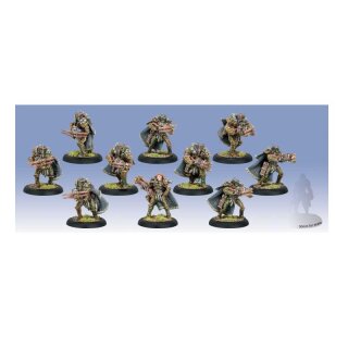 Circle of Orboros Reeves/Wolves of Orboros Unit (10) (plastic)