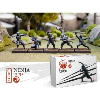 Ninjas (5)