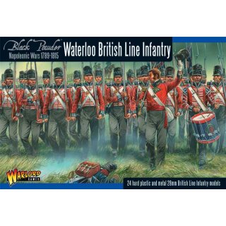 Napoleonic Waterloo British Line Infantry (24)