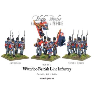 Napoleonic Waterloo British Line Infantry (24)