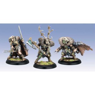 Circle of Orboros Death Wolves (3)