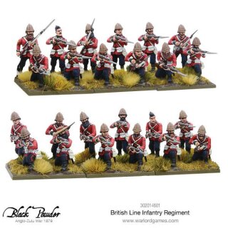 Anglo Zulu War British Line Infantry Regiment