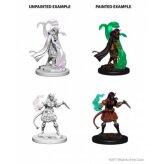 Tiefling Female Sorcerer: Nolzurs Marvelous Unpainted Minis