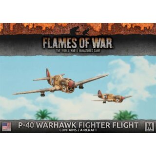 US P-40 Warhawk Fighter Flight