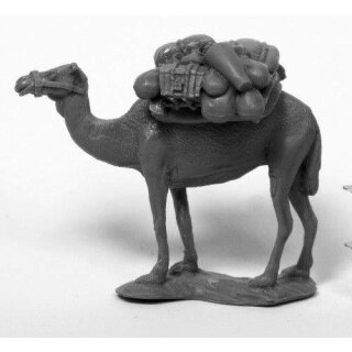 Camel w/ Pack