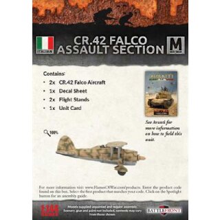 Italian Falco CR42 Flight