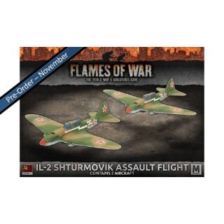 IL-2 Shturmovik Assault Flight