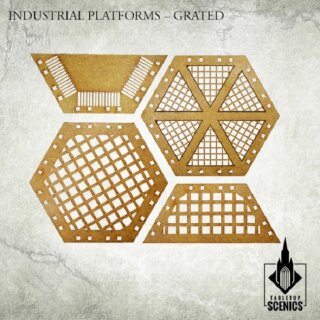 Industrial Platforms Grated