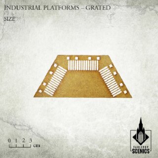 Industrial Platforms Grated