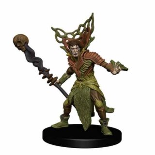D&amp;D Icons of the Realms: Set 10 Companion Starter One (EN)