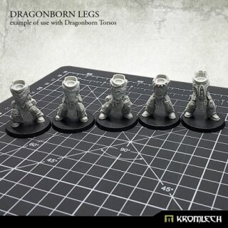 Dragonborn Legs (5)