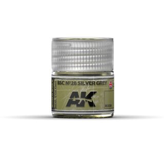 AK Real Colors BSC N 28 Silver Grey (10ml)