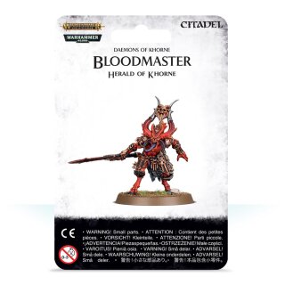 Bloodmaster Herald of Khorne (97-62)