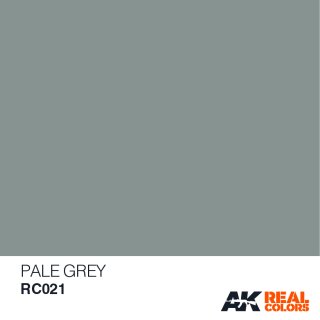 AK Real Colors Pale Grey (10ml)