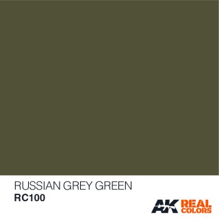AK Real Colors Russian Grey Green (10ml)