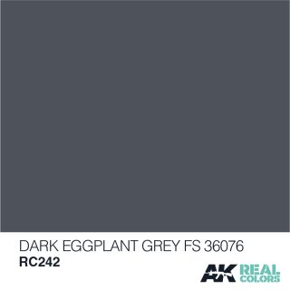 AK Real Colors Dark Eggplant Grey FS 36076 (10ml)