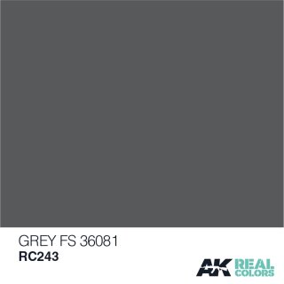 AK Real Colors Grey FS 36081 (10ml)