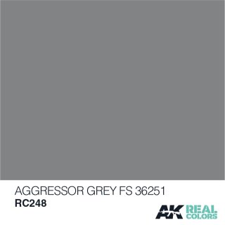 AK Real Colors Aggressor Grey FS 36251 (10ml)