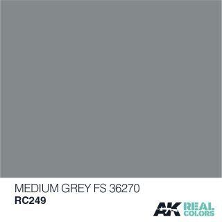 AK Real Colors Medium Grey FS 36270 (10ml)