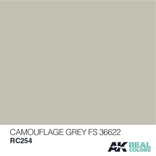 AK Real Colors Camouflage Grey FS 36622 (10ml)