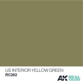 AK Real Colors US Interior Yellow Green (10ml)