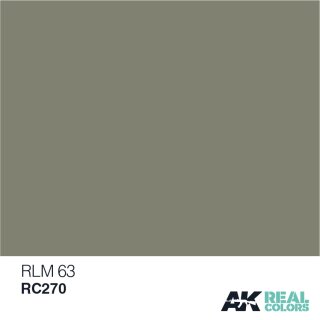 AK Real Colors RLM 63 (10ml)