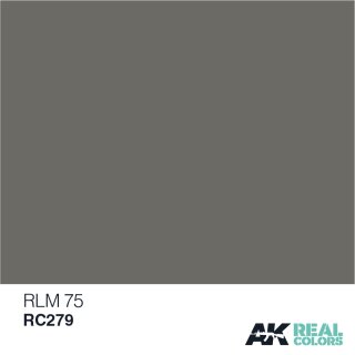 AK Real Colors RLM 75 (10ml)