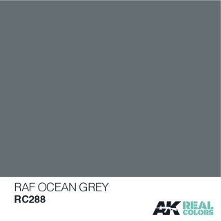 AK Real Colors RAF Ocean Grey (10ml)