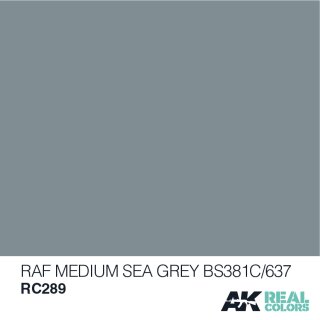 AK Real Colors RAF Medium Sea Grey BS381C/637 (10ml)
