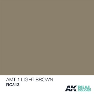 AK Real Colors AMT-1 Light Brown (10ml)