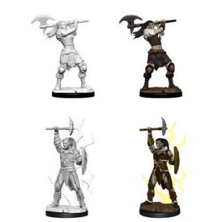 Female Goliath Barbarian: D&amp;D Nolzurs Marvelous Miniatures