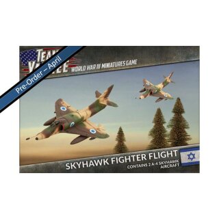 Skyhawk Fighter Flight (2)