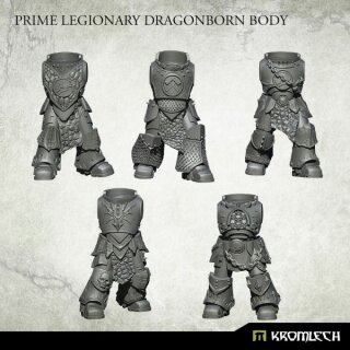 Prime Legionary Dragonborn Bodies (5)